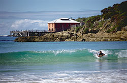 Wharf at Tathra.