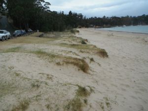 Cocora Beach dune system, soon to be restored through a collaboration between Bega Valley Shire Council and the NSW Office of Environment and Heritage.