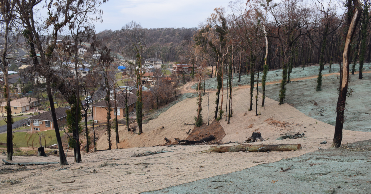 Green Shoots program wins a coastal management award